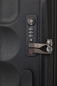 Juno Check-In 79cm Suitcase