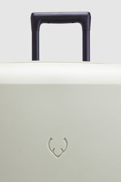Single Stripe 81cm Suitcase