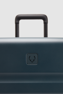 Icon Stripe 78cm Suitcase
