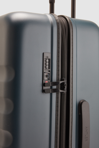 Icon Stripe 66cm Suitcase