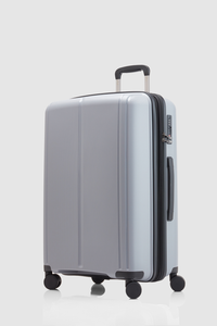 Birch  Check-In 65cm Suitcase