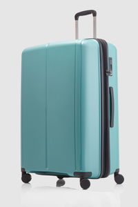 Birch Check-In 75cm Suitcase