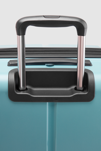 Birch Check-In 75cm Suitcase
