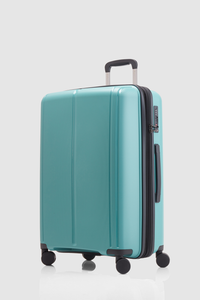 Birch  Check-In 65cm Suitcase