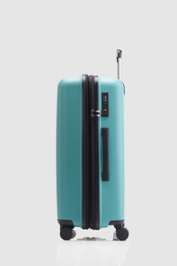 Birch  Check-In 65cm Suitcase