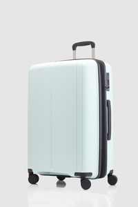 Birch  Check-In 65cm Suitcase
