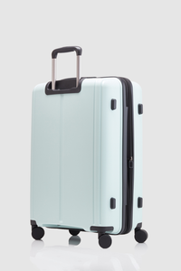 Birch  Check-In 65cm Suitcase
