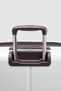 Birch  Check-In 65cm Suitcase