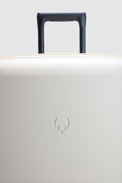 Single Stripe 81cm Suitcase