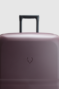 Single Stripe 81cm Suitcase