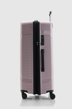 Palm Check-In 75cm Suitcase
